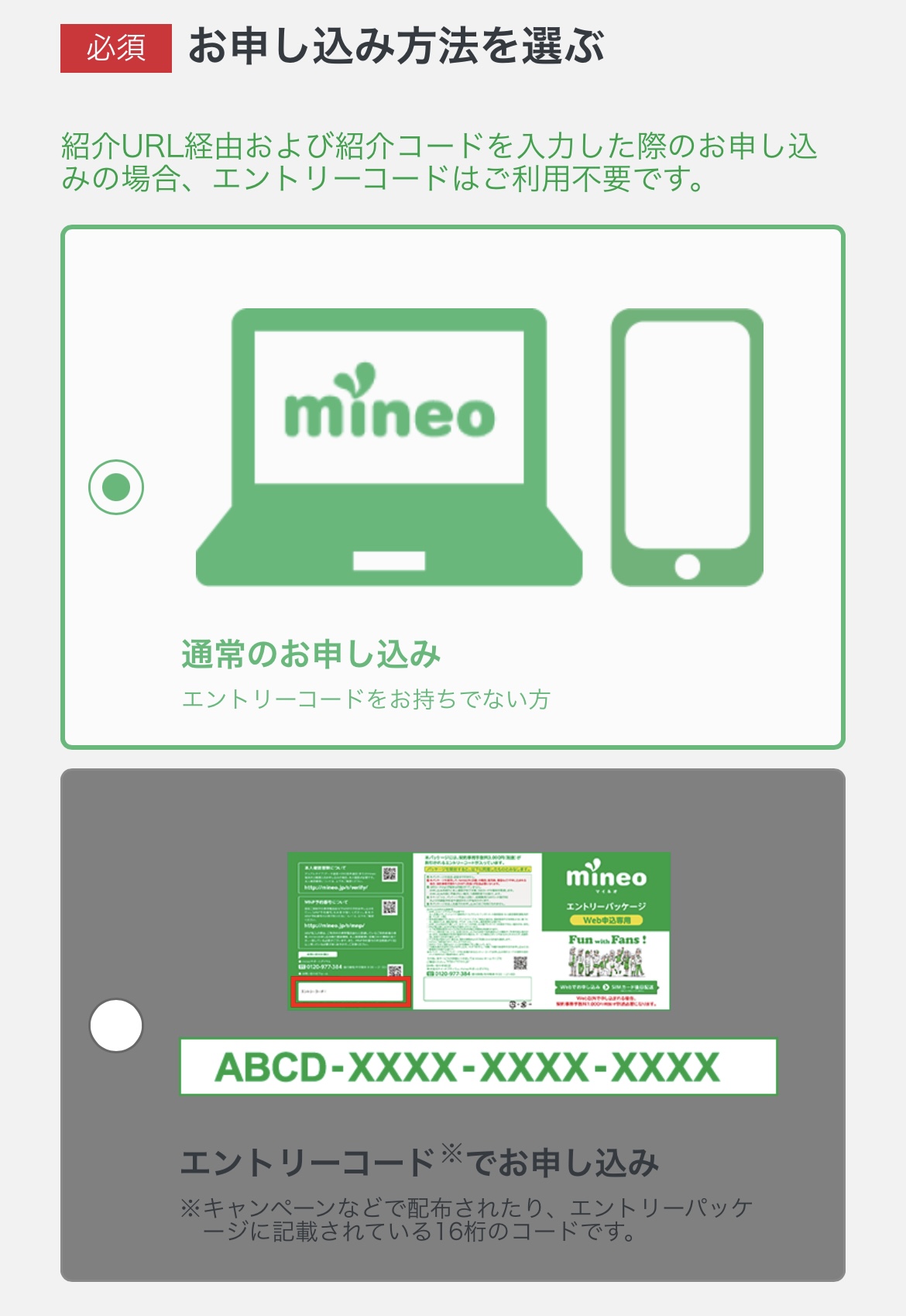 マイネオ 紹介